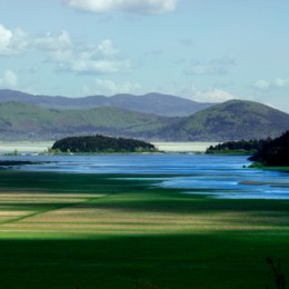 Cerknica
